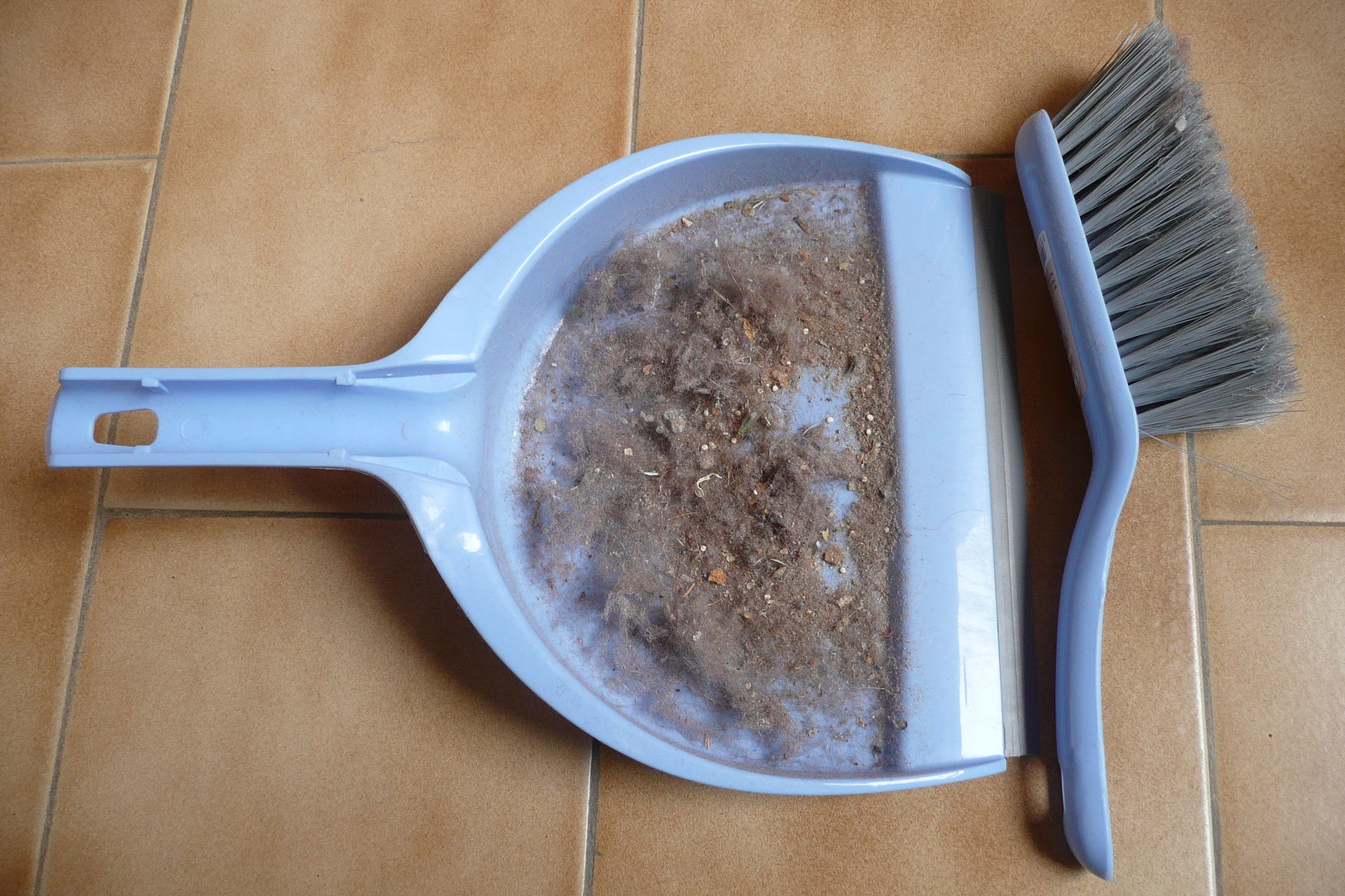 Poussière d'aspirateur